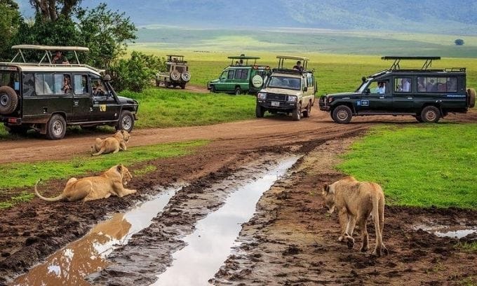 Diseño sin título (7)