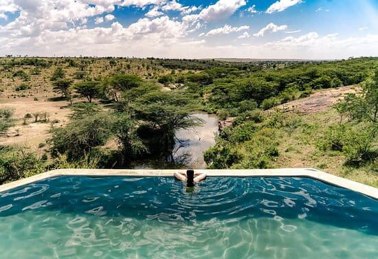 Disfruta de una vista panorámica de la naturaleza desde la piscina en un entorno selvático.