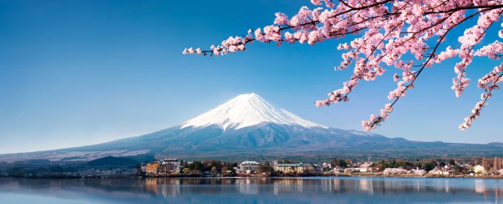 Viaje a Japón 8 i8 d