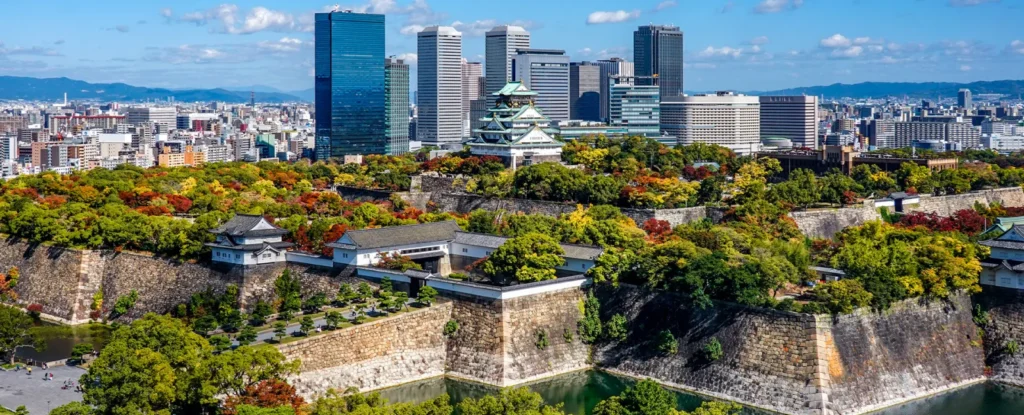 Viaje a Japón 2 i2 d