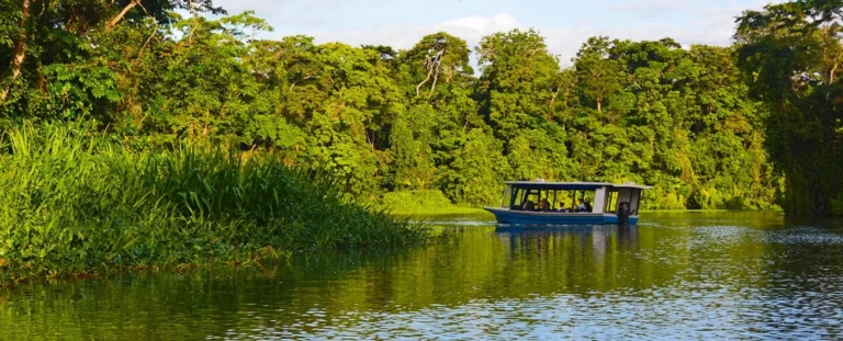 i3 d 1 Parque nacional Tortuguero