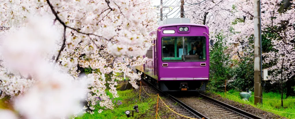 Viaje a Japón 3 i3 d