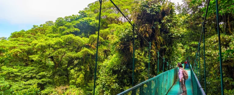 i8 d 1 puentes colgantes