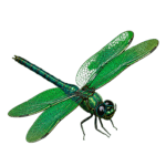 libelula RyA 2 1
